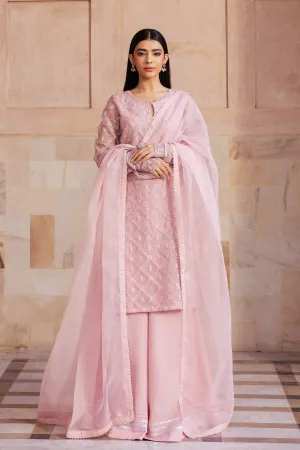 2 Piece Embroidered Organza Suit | MB-F24-507