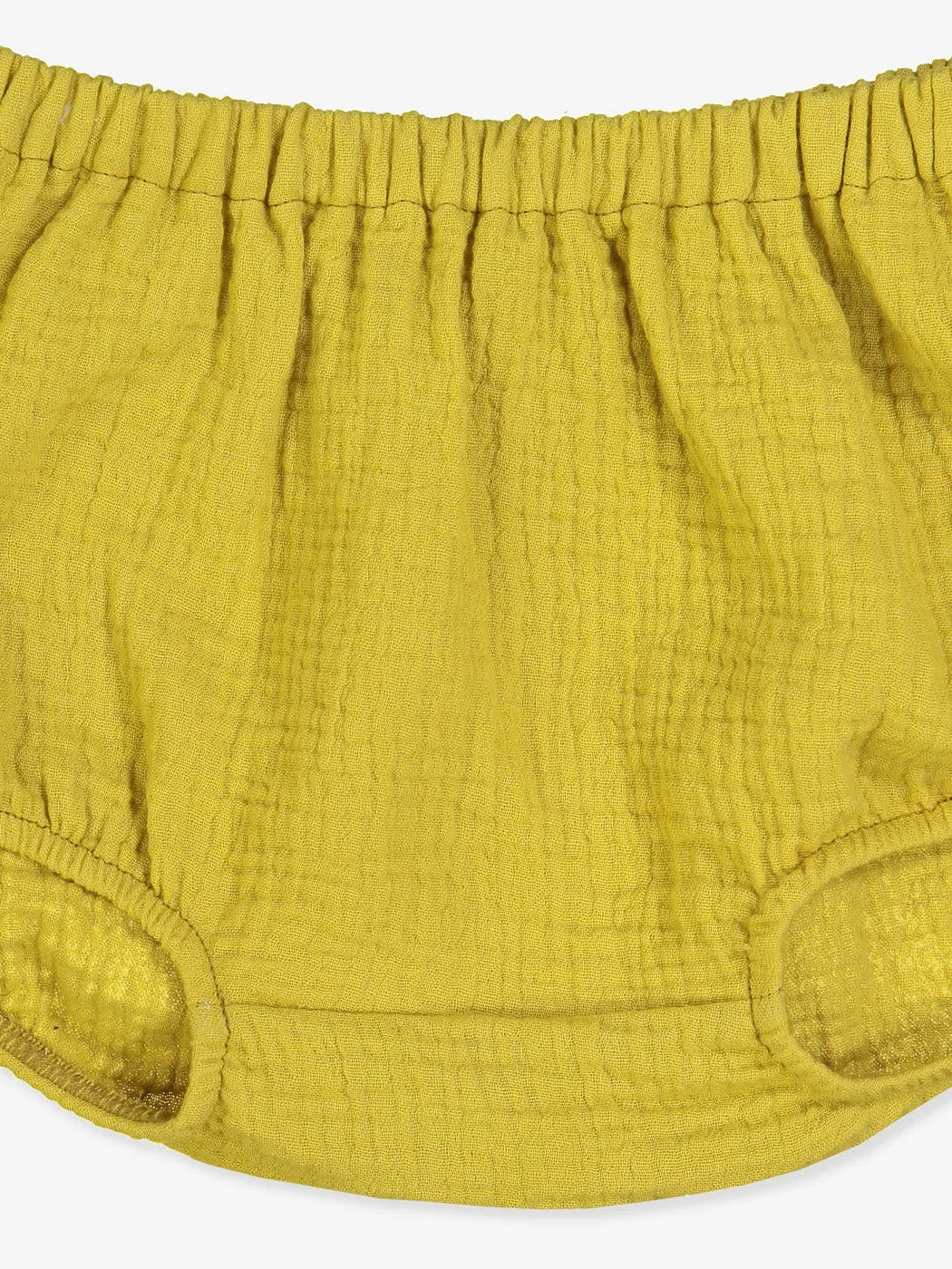 Baby Roger Bloomer - Honey Hauze