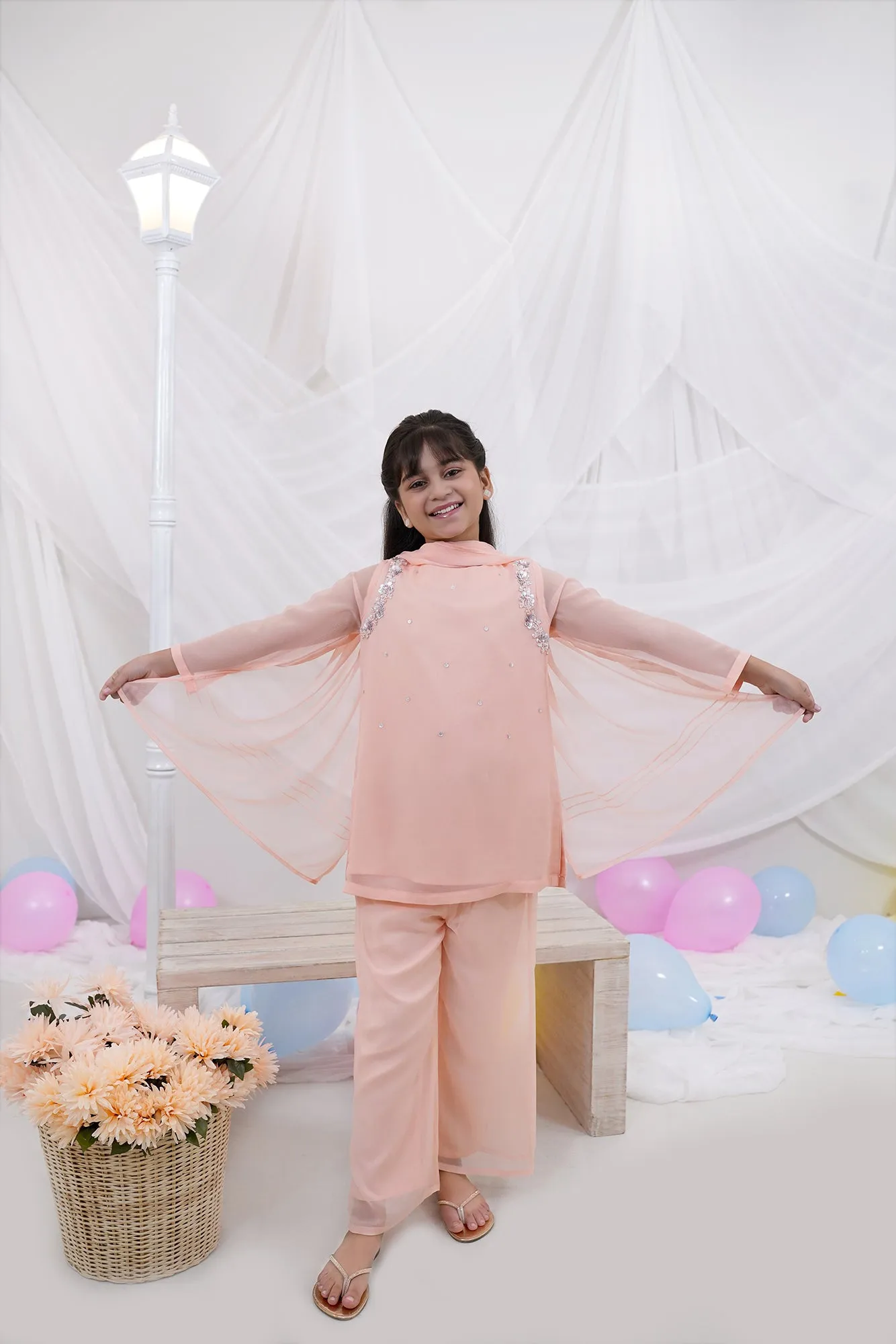 Blush Embroidered Chiffon