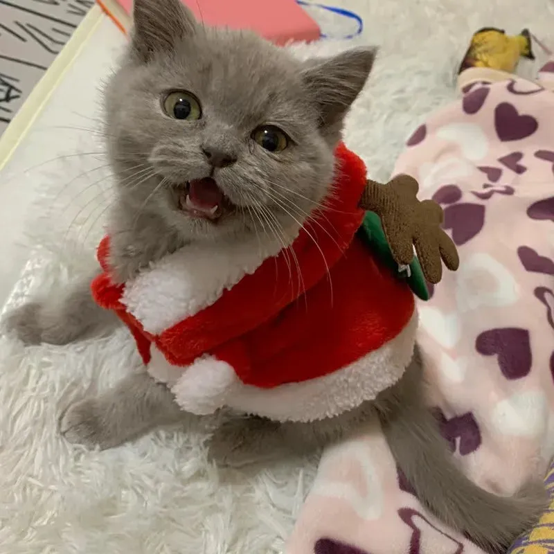 Christmas Hooded Sweater for Sphynx Cats Winter Costume