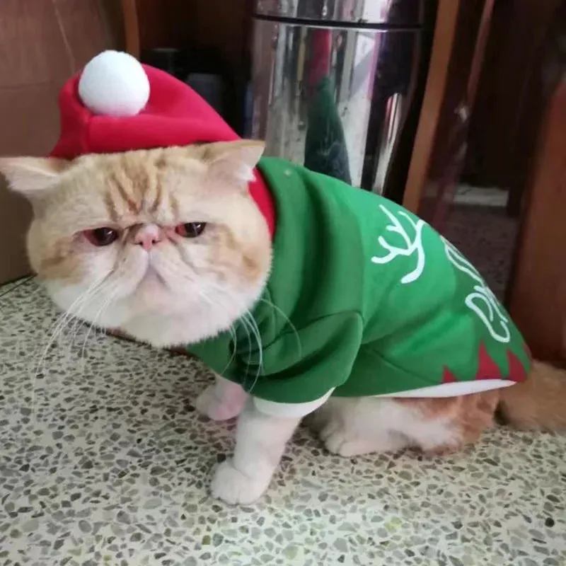 Christmas Hooded Sweater for Sphynx Cats Winter Costume