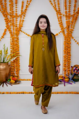 Dazzling Dhani Green Kids Ensemble 3-piece stitched