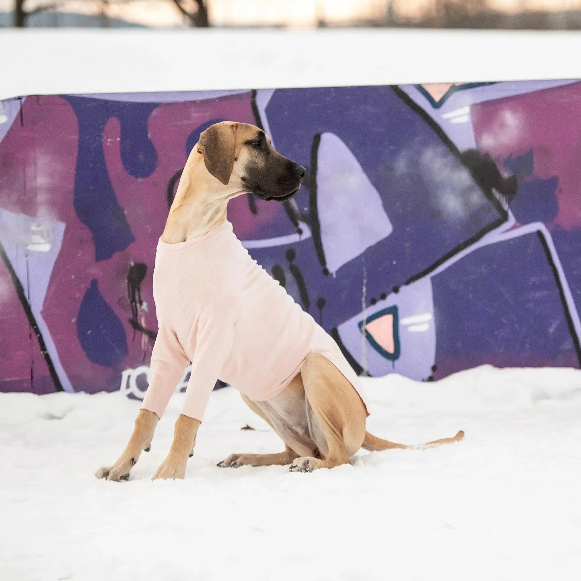 Gondola Base Layer for Dogs | Pink
