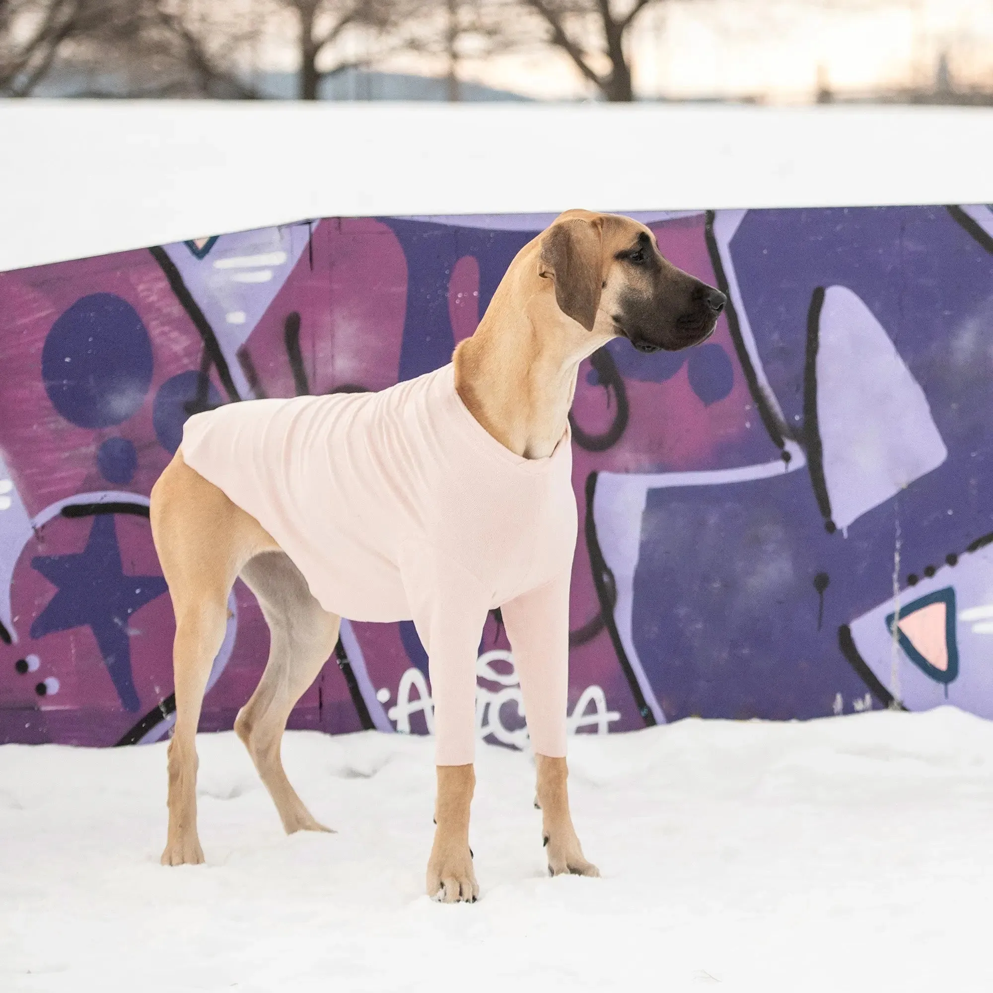 Gondola Base Layer for Dogs | Pink