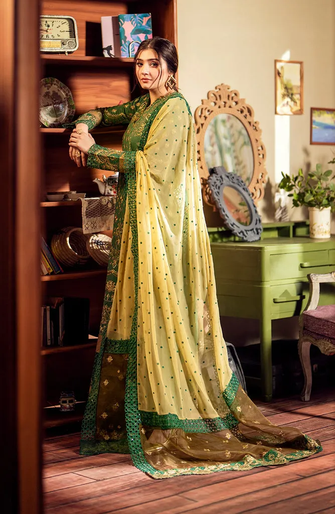 MARYUM & MARIA | Premium Lawn'24 | DURE |  MS24-551