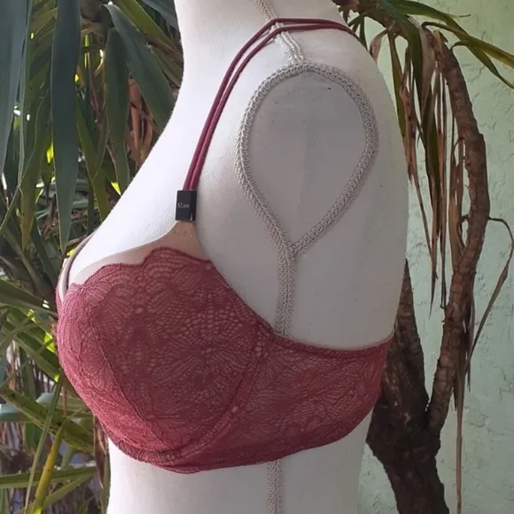Mauve Red Nude Lace Push Up Bra