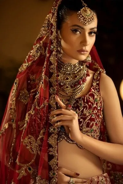 Pakistani Royal Wedding Dress in Maroon Color #N7097