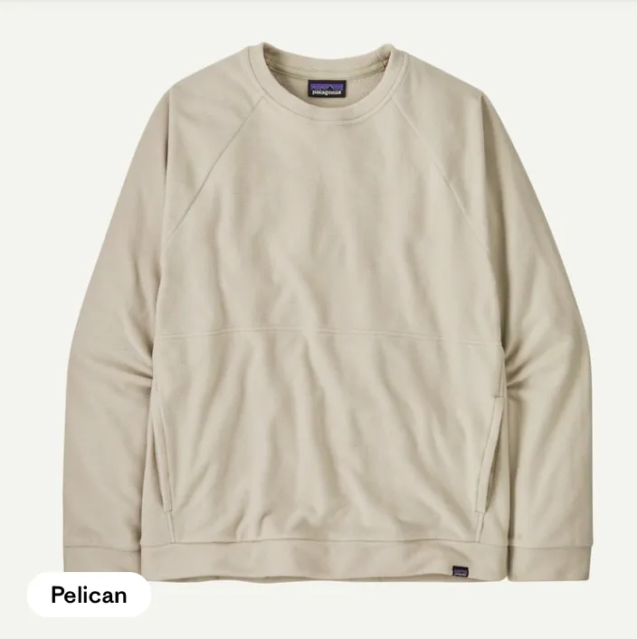 Patagonia Men's Micro D™ Fleece Crewneck