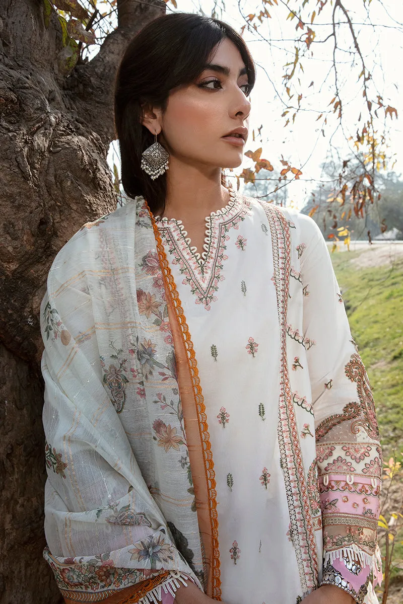 QALAMKAR | Q LINE LAWN'23 | AK-07 HANA