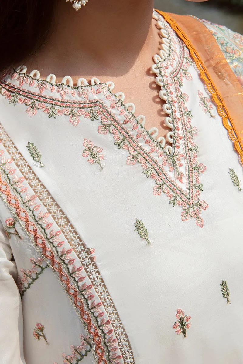 QALAMKAR | Q LINE LAWN'23 | AK-07 HANA