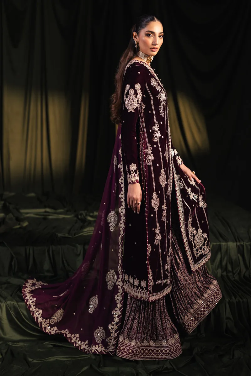 QALAMKAR VELVET EDIT '24 | BK-01 AMANI