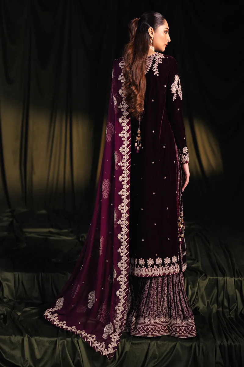QALAMKAR VELVET EDIT '24 | BK-01 AMANI