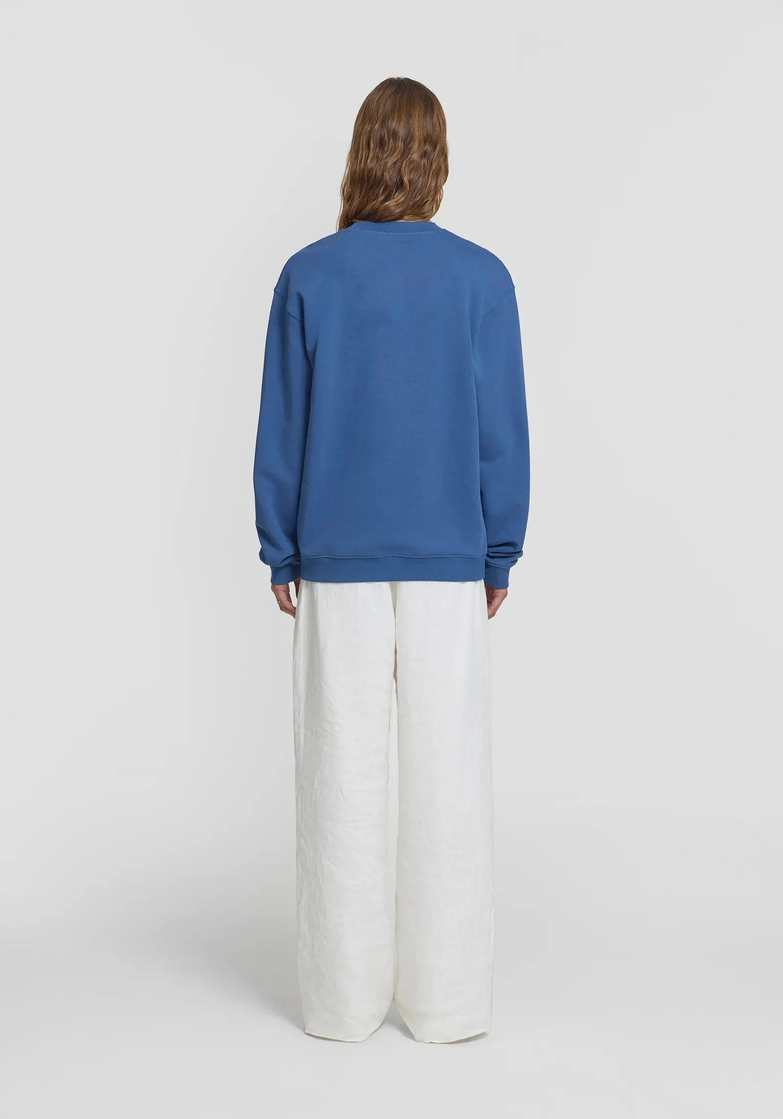 VWXX Unisex Sweater - Cosmos Blue
